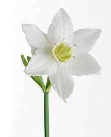 小学生作文批改评语大全(精选28句)