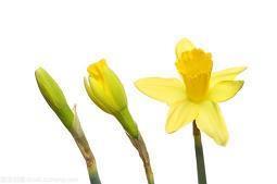 2020教师节短信祝福语