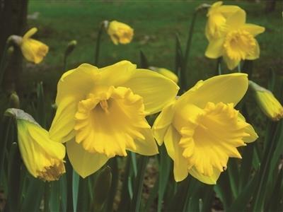 2021微博高赞庆祝护士节感恩祝福寄语精选64句