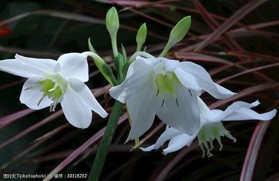 中秋唯美句子简短朋友圈文案(精选114句)