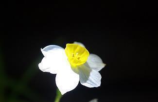 挑一句送给2021年的自己 微信朋友圈爱情经典说说大全