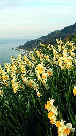 2021庆祝建党100周年优美祝福语