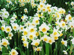 2021女神节的句子 2021三八女神节说说一句话