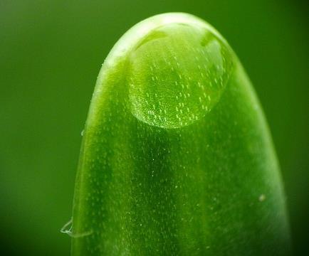 2021抖音除夕夜祝福语句子文案