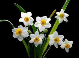 2021教师节短信祝福语精选(精选74条)