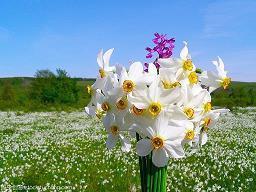 2.14情人节祝福语感动