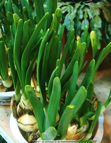 2021中秋节思念家人祝福寄语(精选89条)