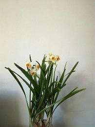 女生伤感经典说说大全60句