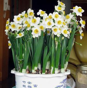 四月来了朋友圈文案句子(精选86句)