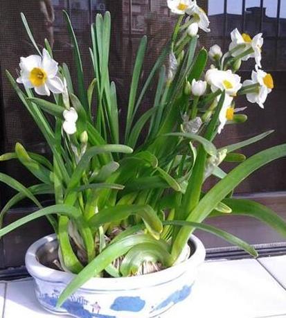 文艺范说说带图片