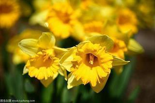 开心就好的句子情感 人生只要过得开心就好