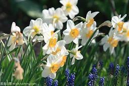 2021最新除夕快乐祝福语微信文案参考