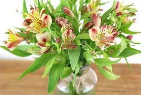 传递社会正能量的句子