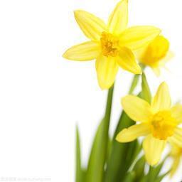 形容运气有点背的心情说说 关于运气不好的句子怎么说(精选17句)