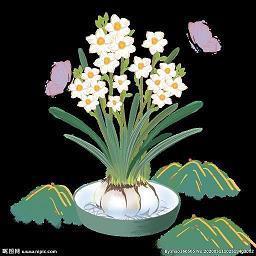 贞严