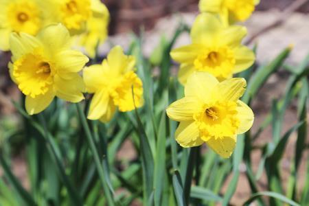 2020父亲节祝福语搞笑