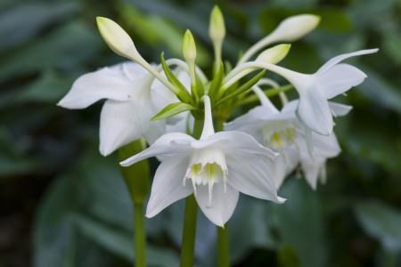 2021父亲节的祝福语简短精选98句