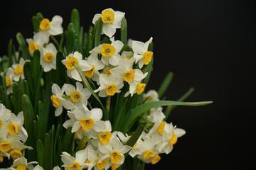 胶让