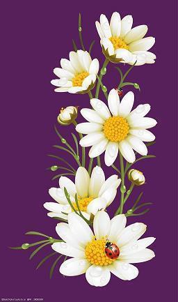 形容心烦到了极点的句子