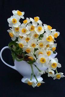 关于元旦短信祝福语简短(精选72句)