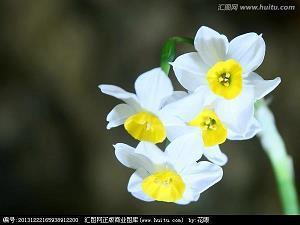 关于想念的唯美句子