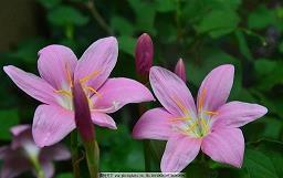 2021公司牛年新春祝福语