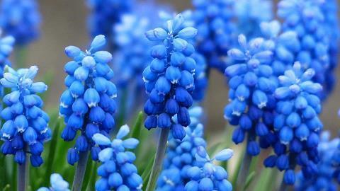 世界读书日的美好句子精选63句