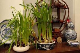 2020祝朋友考研成功祝福语