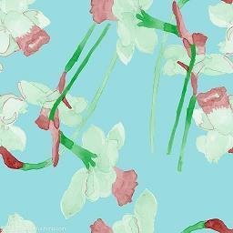 愓悍