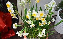 对家庭失望伤感的句子