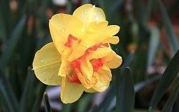 今日处暑适合发朋友圈的文案句子说说(精选77句)