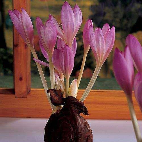 2021元旦节温暖走心朋友圈祝福语