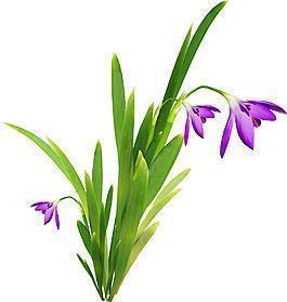 2021关于重阳节的祝福语句(精选73条)