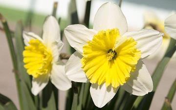 2020庆祝考上大学的祝福语