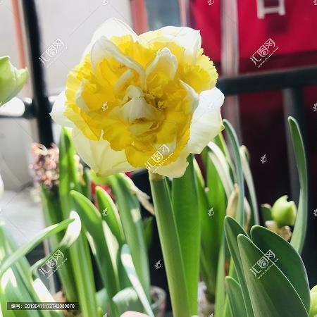 2021年腊八节祝福语句子说说