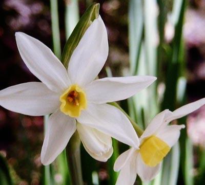 2021霜降节气发送短信祝福语(精选71条)