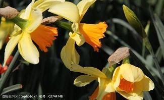 2020教师节感恩祝福语