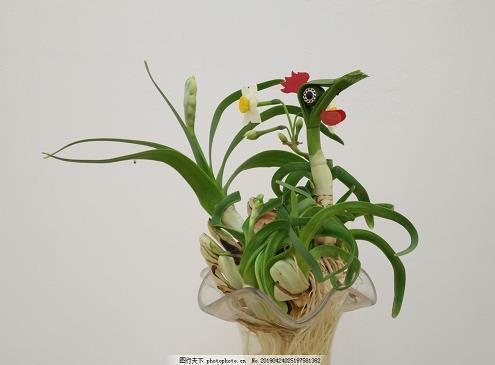 菜地