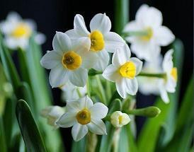 关于谎言的经典说说合集73句