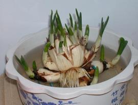 关于迷茫心酸的句子