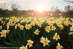 充满正能量的晚安句子,精致唯美,触动心灵!汇总76句