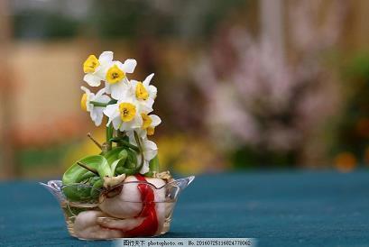 2021牛年春节拜年祝福语文案