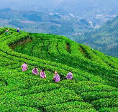 好听有意境的古诗句 中国意境最美诗词