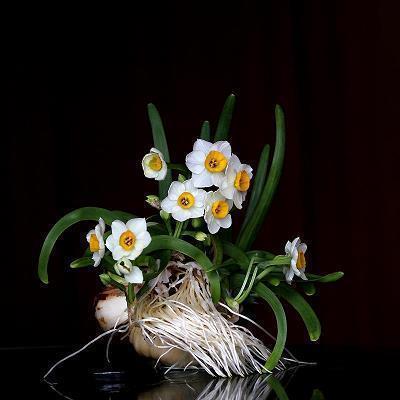 句句触动人心的句子