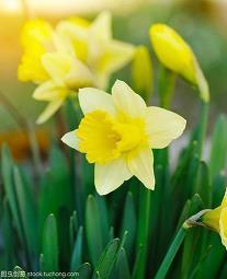 天气炎热暖心祝福文案大全(精选71句)