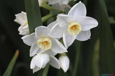 2021中秋节节日祝福语文案简短句子(精选83条)