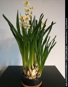 2.14情人节甜蜜祝福语2020