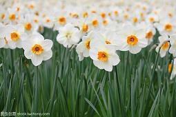 【精华】表白专用的短句子推荐86句