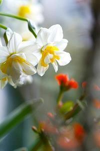 去游玩的心情说说(39句)