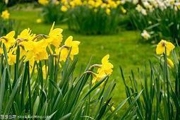 2021中秋节赏月走心祝福贺词(精选95条)